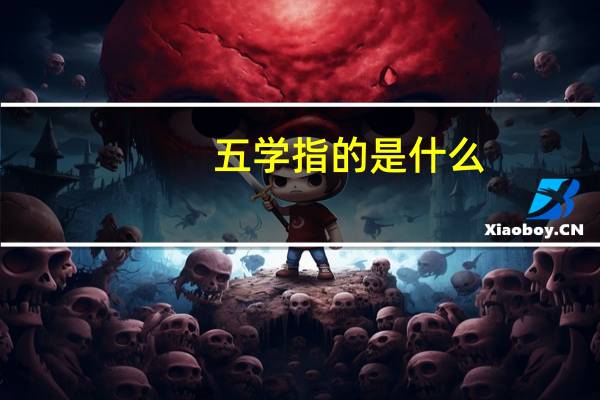 五学指的是什么