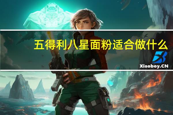 五得利八星面粉适合做什么