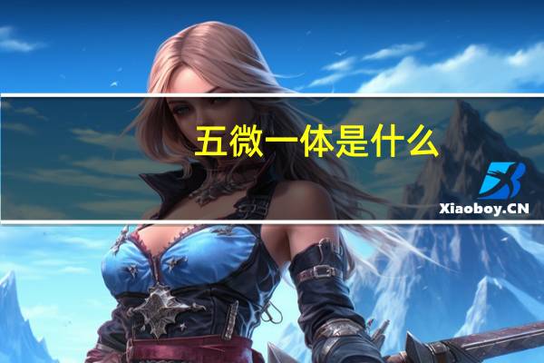 五微一体是什么