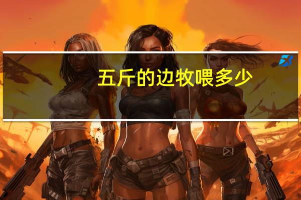 五斤的边牧喂多少
