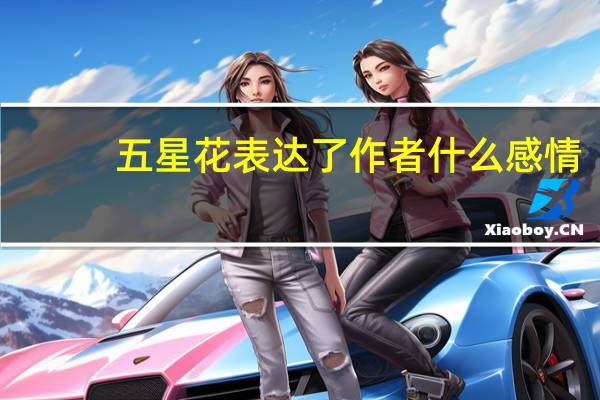 五星花表达了作者什么感情