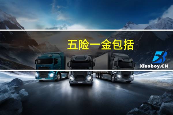 五险一金包括