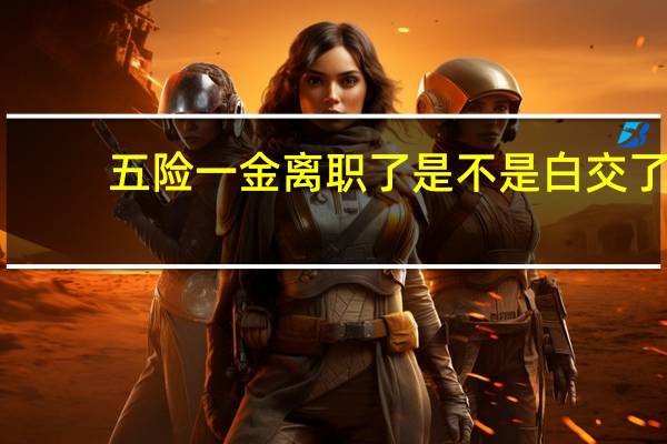 五险一金离职了是不是白交了