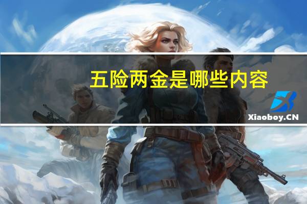 五险两金是哪些内容