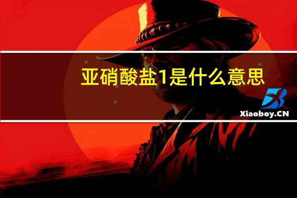 亚硝酸盐1 是什么意思