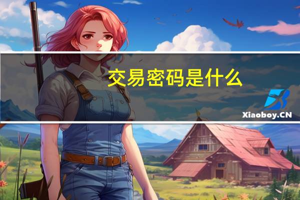 交易密码是什么