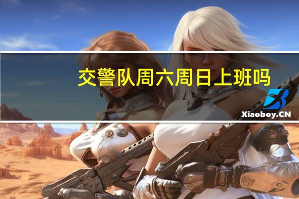 交警队周六周日上班吗