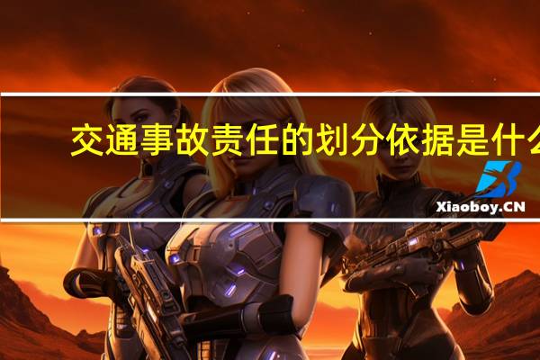 交通事故责任的划分依据是什么