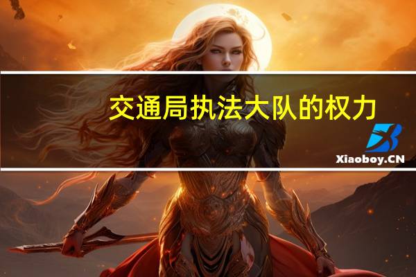 交通局执法大队的权力