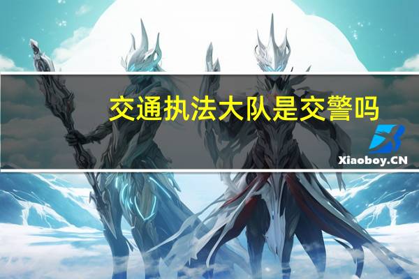 交通执法大队是交警吗