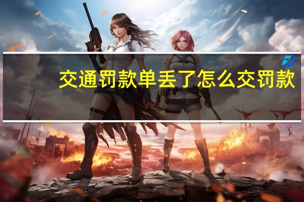 交通罚款单丢了怎么交罚款