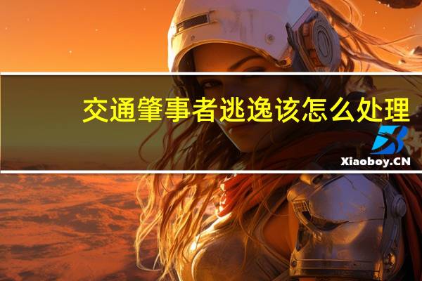 交通肇事者逃逸该怎么处理