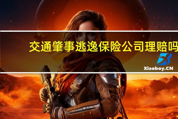 交通肇事逃逸保险公司理赔吗