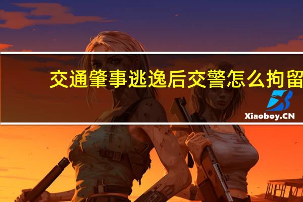 交通肇事逃逸后交警怎么拘留