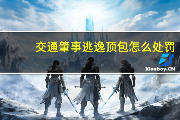 交通肇事逃逸顶包怎么处罚