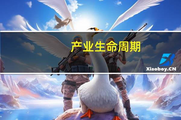 产业生命周期