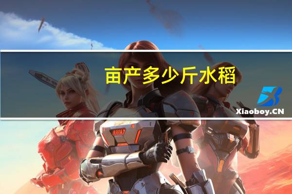 亩产多少斤水稻