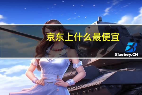 京东上什么最便宜