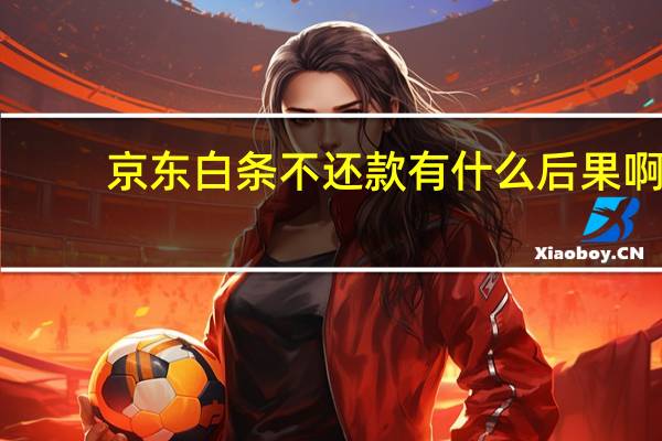京东白条不还款有什么后果啊