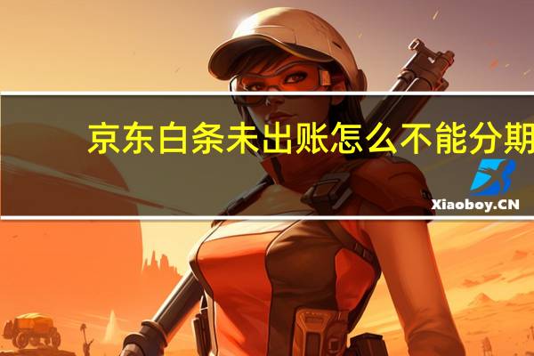 京东白条未出账怎么不能分期