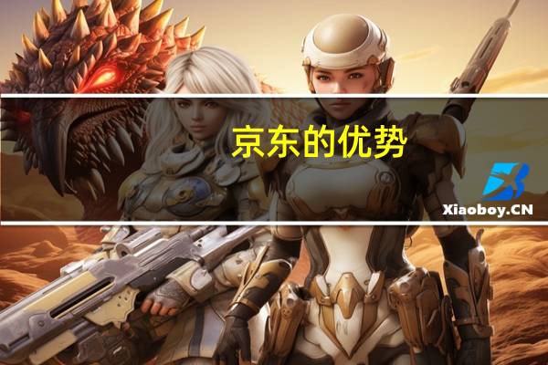 京东的优势