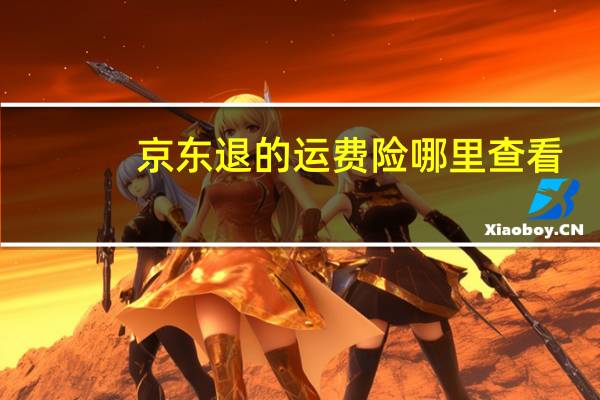 京东退的运费险哪里查看
