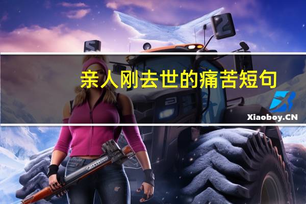 亲人刚去世的痛苦短句