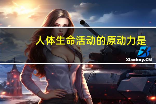 人体生命活动的原动力是