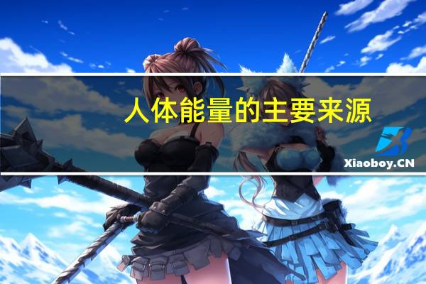 人体能量的主要来源
