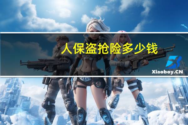 人保盗抢险多少钱