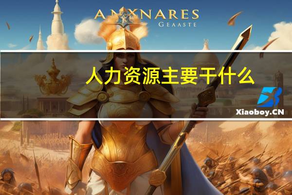 人力资源主要干什么