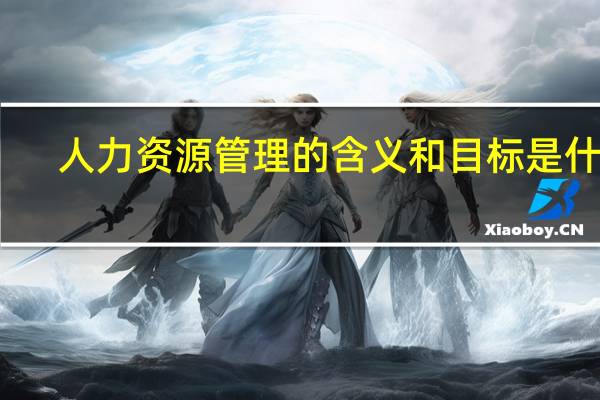 人力资源管理的含义和目标是什么_