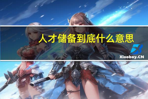 人才储备到底什么意思