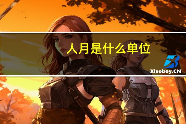 人月是什么单位