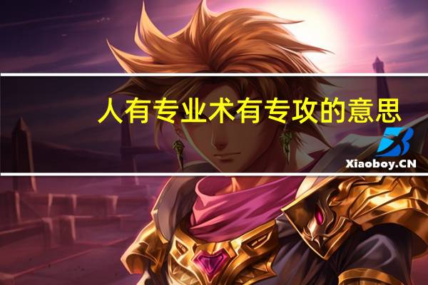 人有专业术有专攻的意思