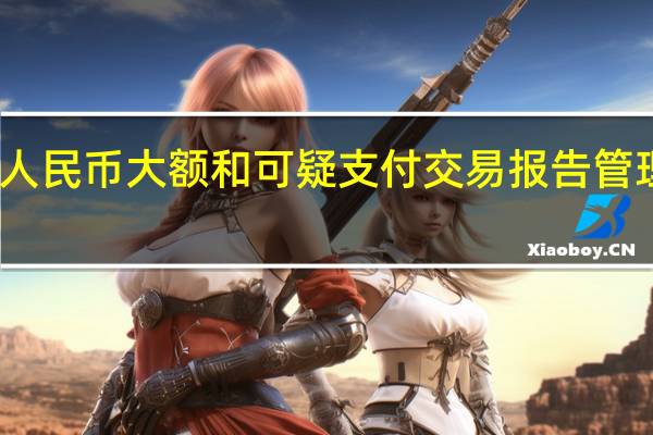 人民币大额和可疑支付交易报告管理办法