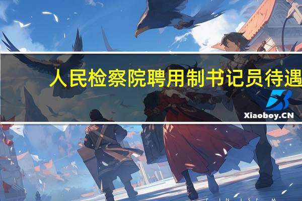 人民检察院聘用制书记员待遇