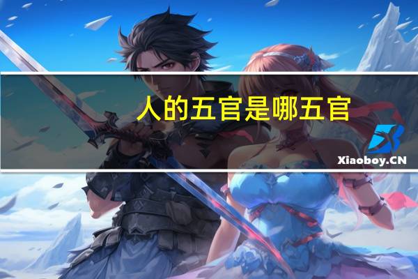人的五官是哪五官