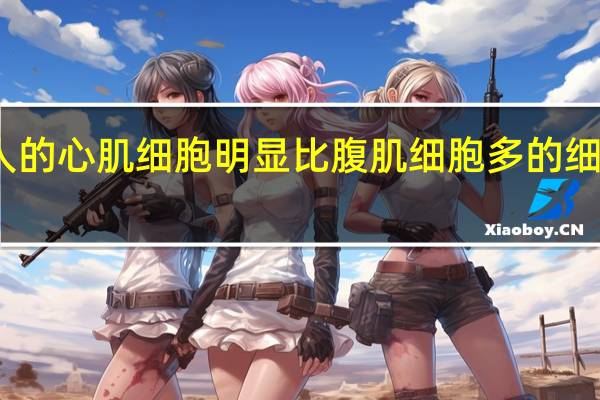 人的心肌细胞明显比腹肌细胞多的细胞器是