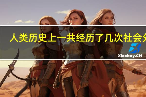 人类历史上一共经历了几次社会分工