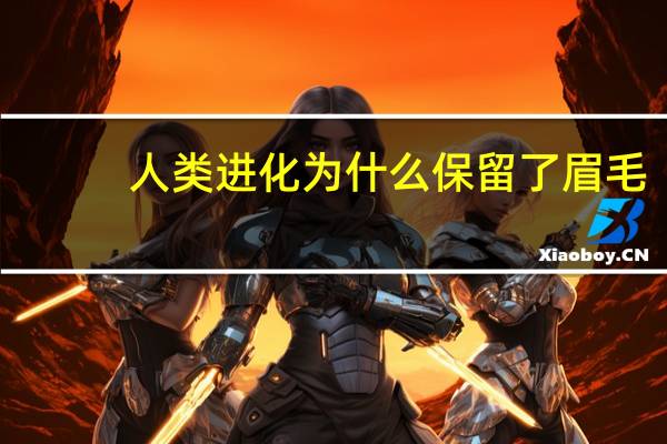 人类进化为什么保留了眉毛