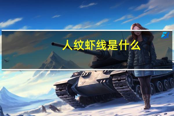 人纹虾线是什么
