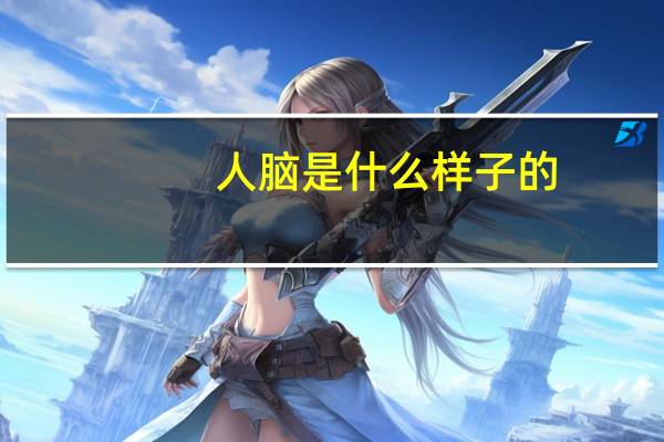 人脑是什么样子的