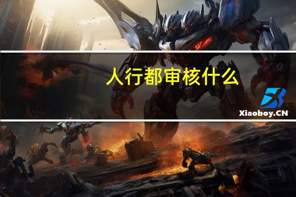 人行都审核什么