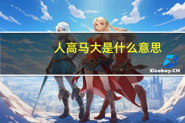 人高马大是什么意思