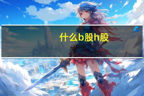 什么b股h股