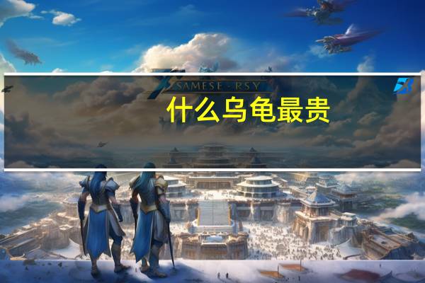 什么乌龟最贵