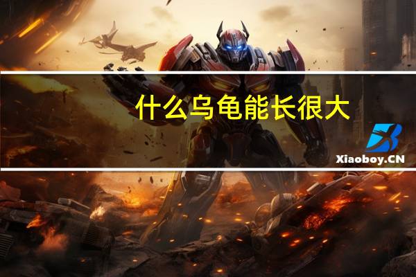 什么乌龟能长很大