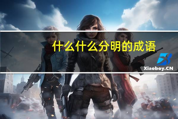 什么什么分明的成语