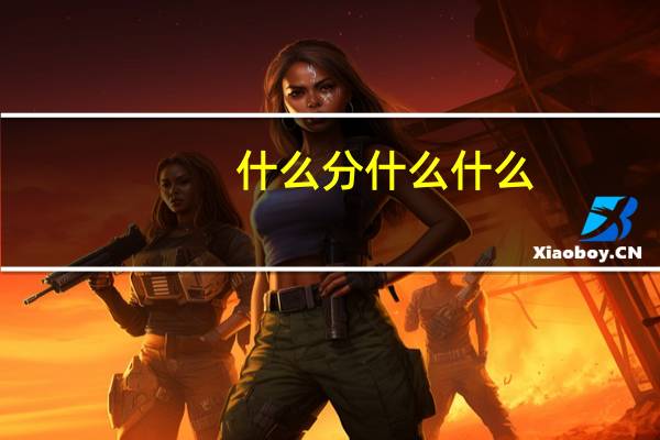 什么分什么什么